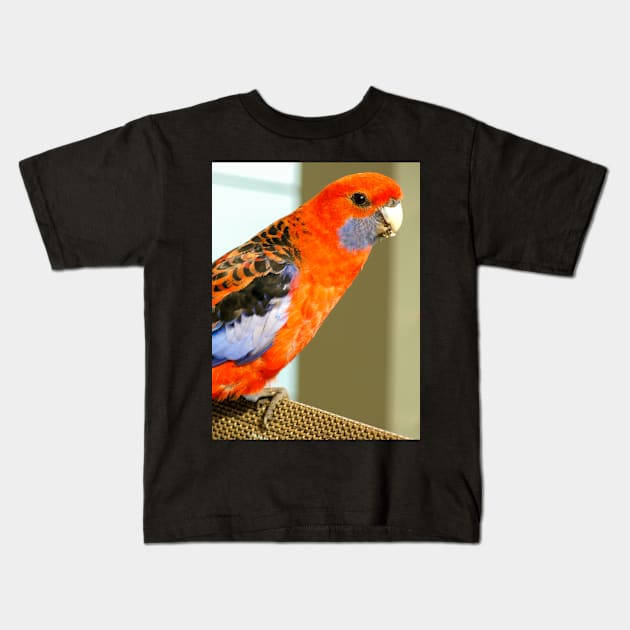 Crimson Rosella Kids T-Shirt by Upbeat Traveler